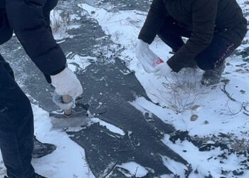 ЖҮК КӨЛІГІ АУДАРЫЛЫП, ҚОРШАҒАН ОРТАНЫ ЛАСТАДЫ