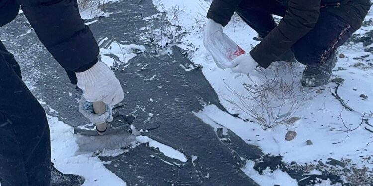 ЖҮК КӨЛІГІ АУДАРЫЛЫП, ҚОРШАҒАН ОРТАНЫ ЛАСТАДЫ