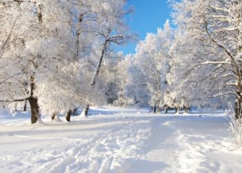 Алматыда қарлы түн: 1200 текше метр қар тазартылды