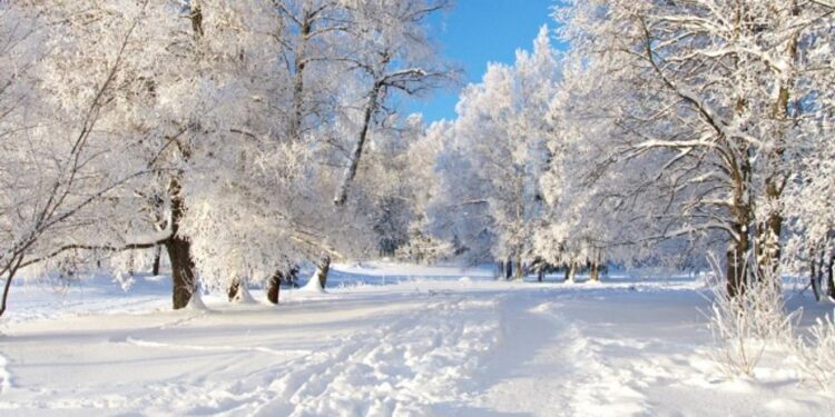 Алматыда қарлы түн: 1200 текше метр қар тазартылды