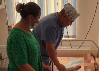 Қызылордада 4 жасар қызды түйе басып кете жаздады