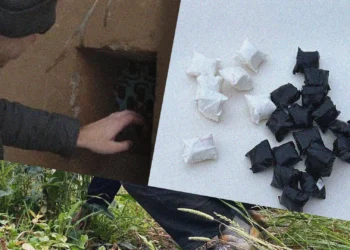 «Закладчиктерге» бостандық берілуі мүмкін: Заң қабылданды