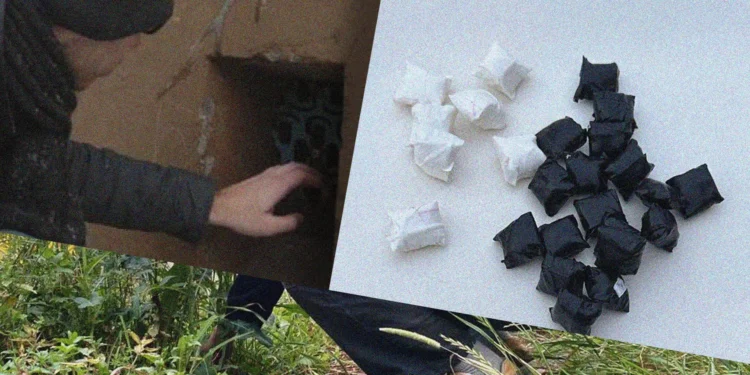 «Закладчиктерге» бостандық берілуі мүмкін: Заң қабылданды