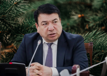 Мұғалімді шырша безендіруге мәжбүрлегендер жазаланды