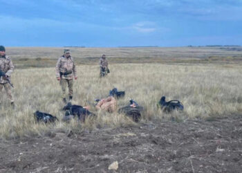 Жамбыл облысында шекарадан заңсыз өтпек болған шетелдіктер ұсталды