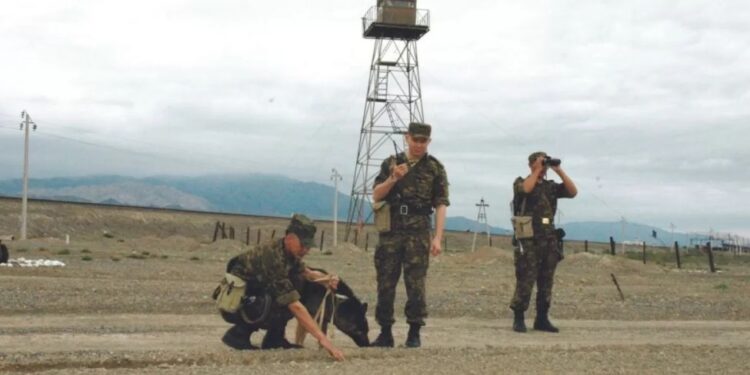 Контрабанда өткізуге көмектескен шекарашы сотталды