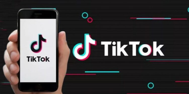 Тiktok-та өзгенің «абыройын төккен» әйелге жарты миллион теңге айыппұл салынды