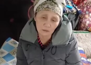 17 жылдан бері Алматы шетіндегі сайда өмір сүрген