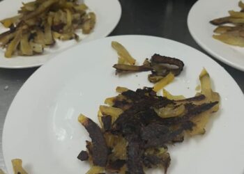 Балабақшада бүлдіршіндерге күйген картоп берген