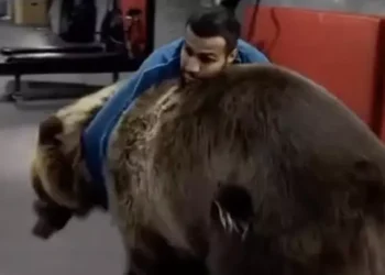 Аюмен күрескен танымал спортшыға айыппұл салынды