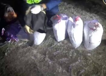 Қызылорда облысында ірі есірткі жеткізушілер ұсталды