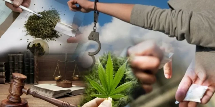 Павлодарда ірі көлемде есірткі сақтағандар ұсталды