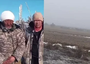 Жаңа жылда жоғалып кеткен шопан мен отар қой табылды