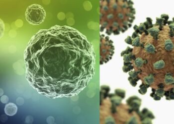 Метапневмовирус Қазақстанда да анықталды