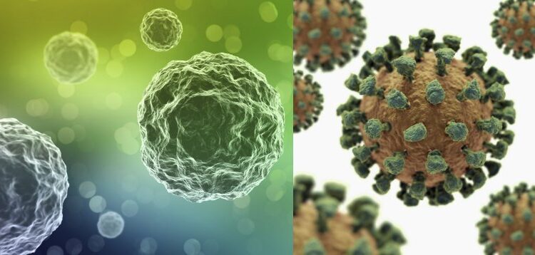 Метапневмовирус Қазақстанда да анықталды
