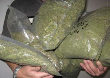 Қызылорда облысында жолаушыдан есірткі тәркіленді