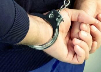 30 миллион жымқырған: Алаяқтық жасады деген күдікті Грузиядан экстрадицияланды