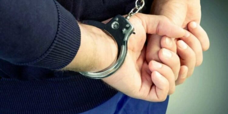 30 миллион жымқырған: Алаяқтық жасады деген күдікті Грузиядан экстрадицияланды