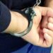 30 миллион жымқырған: Алаяқтық жасады деген күдікті Грузиядан экстрадицияланды