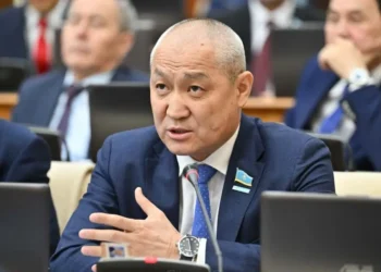 ЛГБТ-ға қарсы пікір білдірген парламент депутаттарына қатысты ақпараттық шабуыл тергелмейді