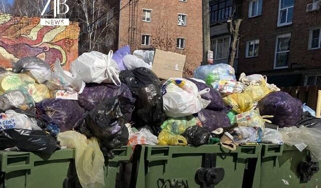 44 жастағы әйел медициналық көмексіз босанып, баласын қоқыс контейнеріне тастаған