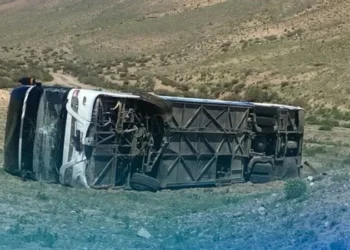 Алматы облысында туристер мінген автобус жол апатына ұшырады