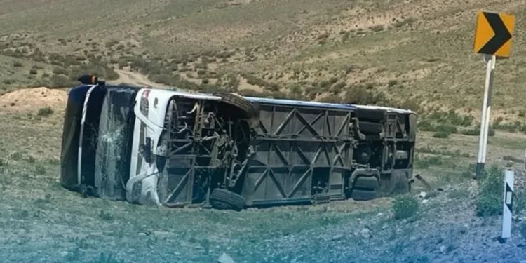 Алматы облысында туристер мінген автобус жол апатына ұшырады