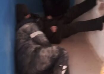 «Өз үйімізге кіре алмаймыз»: Қазалылық тұрғындар қаңғыбастарға шара қолдануды сұрады