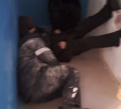 «Өз үйімізге кіре алмаймыз»: Қазалылық тұрғындар қаңғыбастарға шара қолдануды сұрады