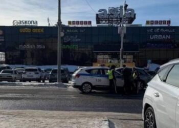 Полицейлер жаяу жүргіншіні қағып кетті