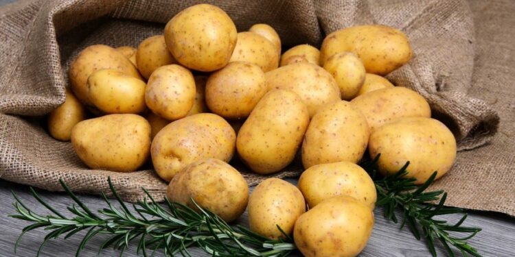 Картоп 1 адамға 3 келіден сатылып жатыр