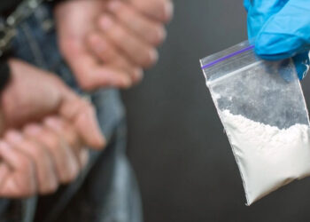 Қызылорда облысында ірі көлемде есірткі сақтау дерегі анықталды