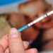 Түркістан облысында Өзбекстанның 37 жастағы азаматы 8-сынып оқушысын зорлады деген күдікпен қамауға алынды