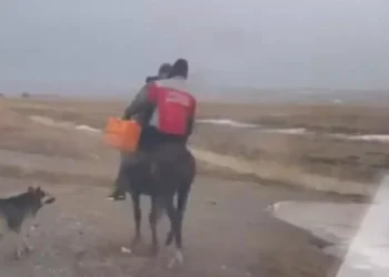 Жетісуда фельдшер шалғай ауылдан жедел жәрдем шақырған адамға атпен жетті (видео)