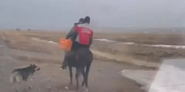 Жетісуда фельдшер шалғай ауылдан жедел жәрдем шақырған адамға атпен жетті (видео)