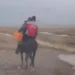 Жетісуда фельдшер шалғай ауылдан жедел жәрдем шақырған адамға атпен жетті (видео)