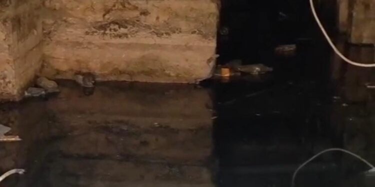 «3 ай бойы қаңғырып далада жүрміз, бір басшы келмеді»