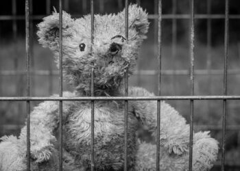 «Аптасына бір рет монша, әжетхана – далада»: Мәжіліс депутаты әйелдер түрмесі туралы айтты