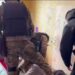 Есірткі таратумен айналысқан деструктивті діни ағым жақтаушысы ұсталды