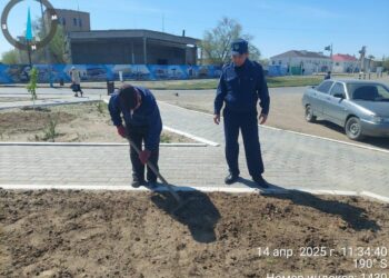 Арал ауданында 65 сотталған азамат мәжбүрлі еңбекке тартылған