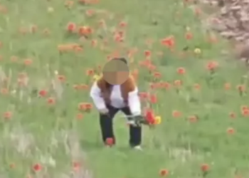 Қызғалдақ жұлған әйел 12 миллион теңгеге жуық айыппұл төлеуі мүмкін