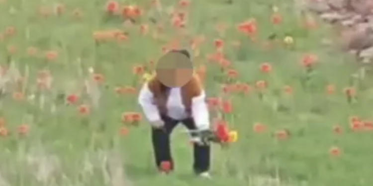 Қызғалдақ жұлған әйел 12 миллион теңгеге жуық айыппұл төлеуі мүмкін