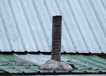 «4, 6 және 8 жаста»: Үш бала газдан уланып көз жұмды