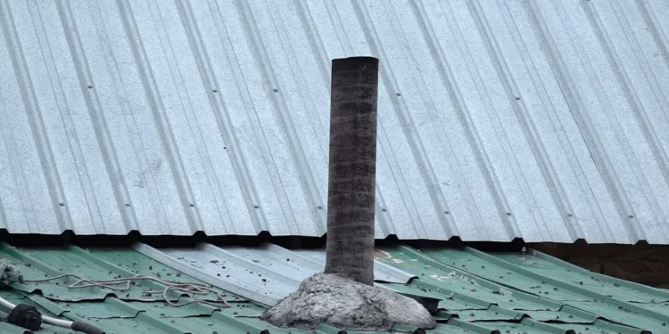 «4, 6 және 8 жаста»: Үш бала газдан уланып көз жұмды