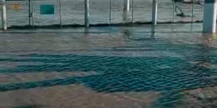 «Қалаларды да су басып жатыр»: Ақмола облысында ауыл тасқыннан көлік қатынасынсыз қалды