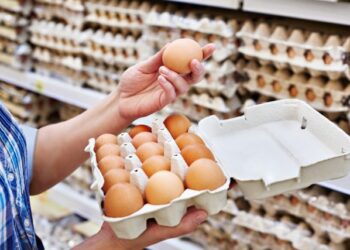 Қазақстан жұмыртқа импортына уақытша тыйым салды