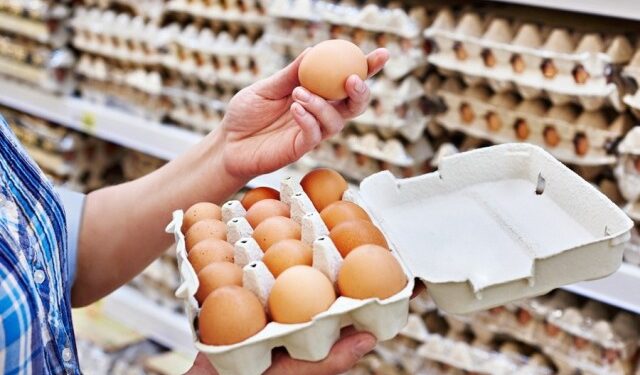 Қазақстан жұмыртқа импортына уақытша тыйым салды