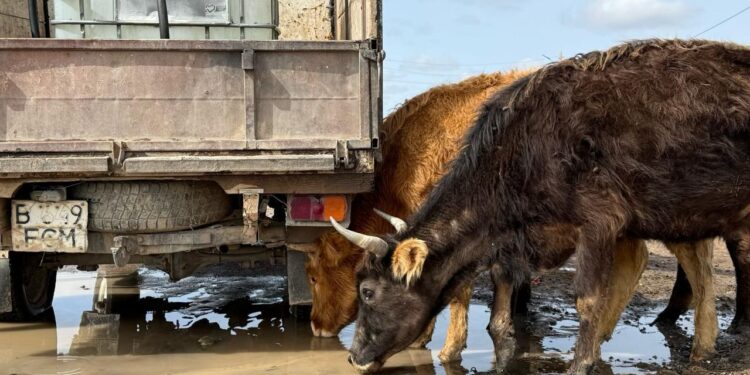 «Малмен бірге су ішіп жүрміз». Тұрғындарға уәде етілген су құбыры 5 жыл бойы орнатылмаған