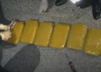 Полиция тас жолдағы автокөліктен 34 кг гашиш тапты