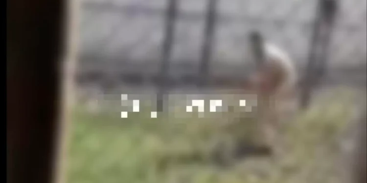 БҚО-да сотталушы түрме ауласында жалаңаш жүріп жұмыс істеген